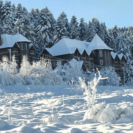 Hotel Pid Lisom Skhidnytsia Esterno foto
